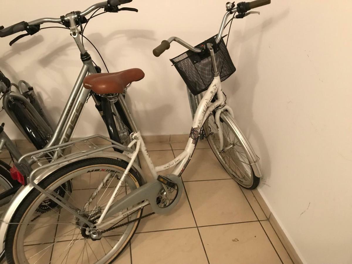 אוסטראון Apartament Zeta - Zeta Park מראה חיצוני תמונה